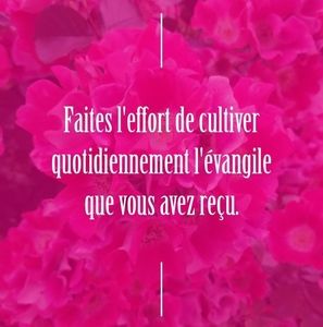 Meet your Posher, Danie